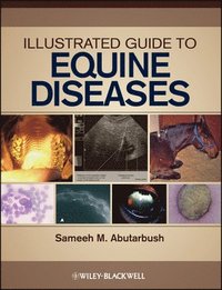 bokomslag Illustrated Guide to Equine Diseases