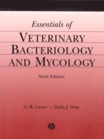 bokomslag Essentials of Veterinary Bacteriology and Mycology