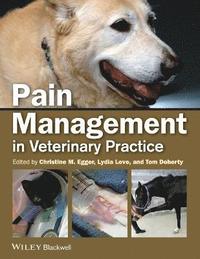 bokomslag Pain Management in Veterinary Practice