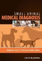 bokomslag Small Animal Medical Diagnosis