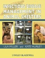 bokomslag Infectious Disease Management in Animal Shelters