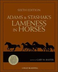 bokomslag Adams and Stashak's Lameness in Horses