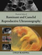 bokomslag Practical Atlas of Ruminant and Camelid Reproductive Ultrasonography
