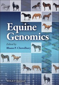 bokomslag Equine Genomics