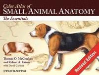 bokomslag Color Atlas of Small Animal Anatomy