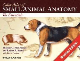 Color Atlas of Small Animal Anatomy 1