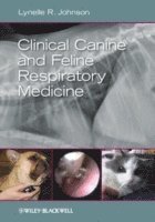 bokomslag Clinical Canine and Feline Respiratory Medicine