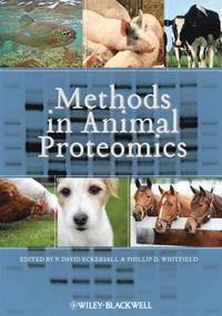 bokomslag Methods in Animal Proteomics