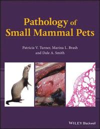 bokomslag Pathology of Small Mammal Pets