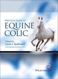 bokomslag Practical Guide to Equine Colic