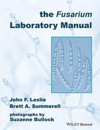 bokomslag The Fusarium Laboratory Manual