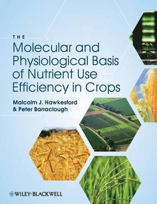 bokomslag The Molecular and Physiological Basis of Nutrient Use Efficiency in Crops