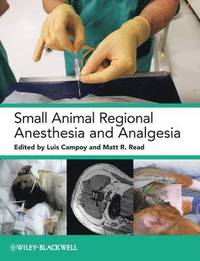 bokomslag Small Animal Regional Anesthesia and Analgesia