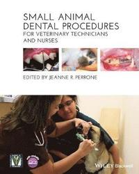 bokomslag Small Animal Dental Procedures for Veterinary Technicians and Nurses