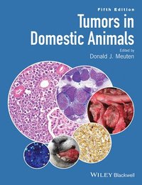bokomslag Tumors in Domestic Animals