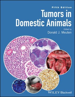 bokomslag Tumors in Domestic Animals