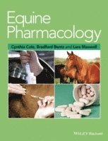 bokomslag Equine Pharmacology