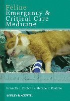 bokomslag Feline Emergency and Critical Care Medicine