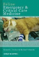 Feline Emergency and Critical Care Medicine 1
