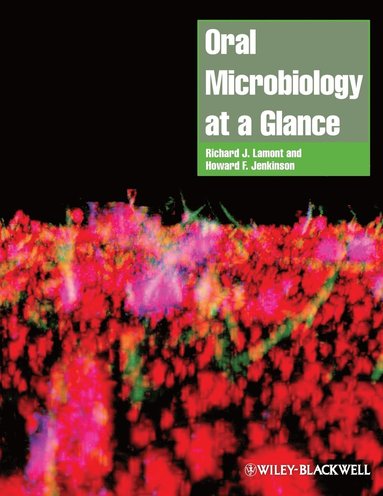 bokomslag Oral Microbiology at a Glance