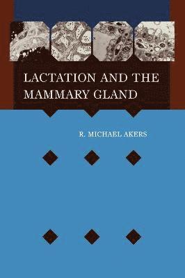 R. Michael Akers, Akers, R Michael Akers - Lactation and the Mammary Gland, Inbunden