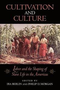 bokomslag Cultivation and Culture