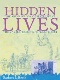 bokomslag Hidden Lives