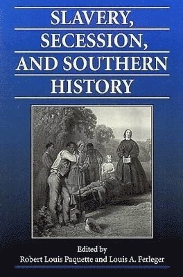 bokomslag Slavery, Secession and Southern History