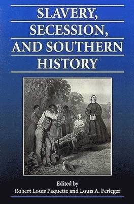 Slavery, Secession and Southern History 1