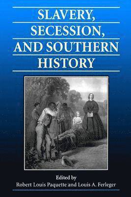 Slavery, Secession and Southern History 1