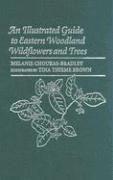 bokomslag An Illustrated Guide to Eastern Woodland Wildflowers and Trees