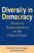 bokomslag Diversity in Democracy