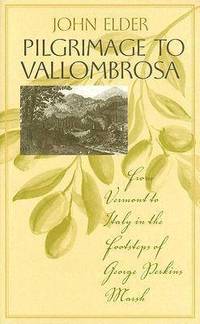 bokomslag Pilgrimage to Vallombrosa