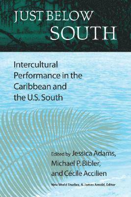Jessica Adams, Michael P. Bibler, Cecile Accilien - Just Below South, Inbunden