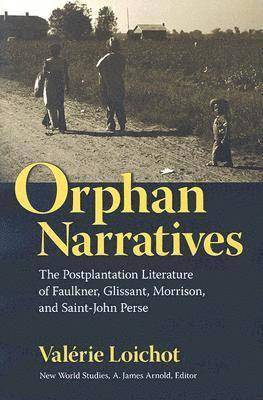 bokomslag Orphan Narratives