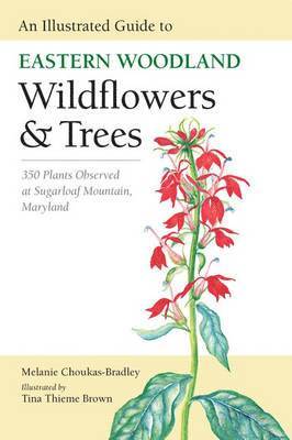 An Illustrated Guide to Eastern Woodland Wildflowers and Trees 1