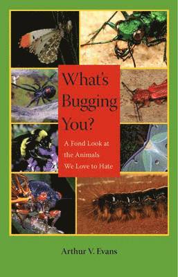 What's Bugging You?