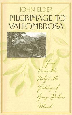 bokomslag Pilgrimage to Vallombrosa