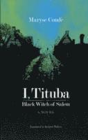 bokomslag I Tituba Black Witch Of Salem