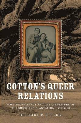 Michael P. Bibler, Michael P Bibler - Cotton's Queer Relations, Inbunden