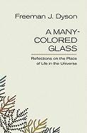 bokomslag A Many-colored Glass