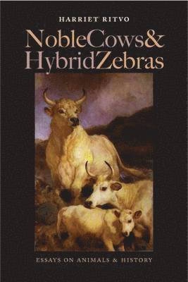 bokomslag Noble Cows and Hybrid Zebras