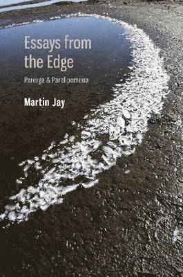 Martin Jay - Essays from the Edge, Inbunden
