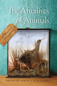 bokomslag The Afterlives of Animals