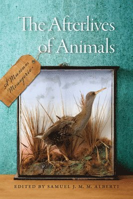 The Afterlives of Animals 1