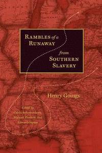 bokomslag Rambles of a Runaway from Southern Slavery