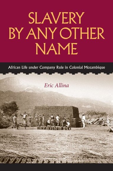 Eric Allina - Slavery by Any Other Name, Inbunden