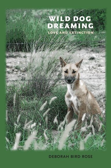 Deborah Bird Rose - Wild Dog Dreaming, Häftad