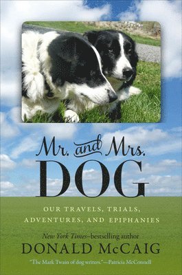 Mr. and Mrs. Dog 1
