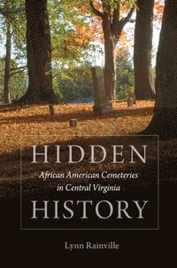 bokomslag Hidden History